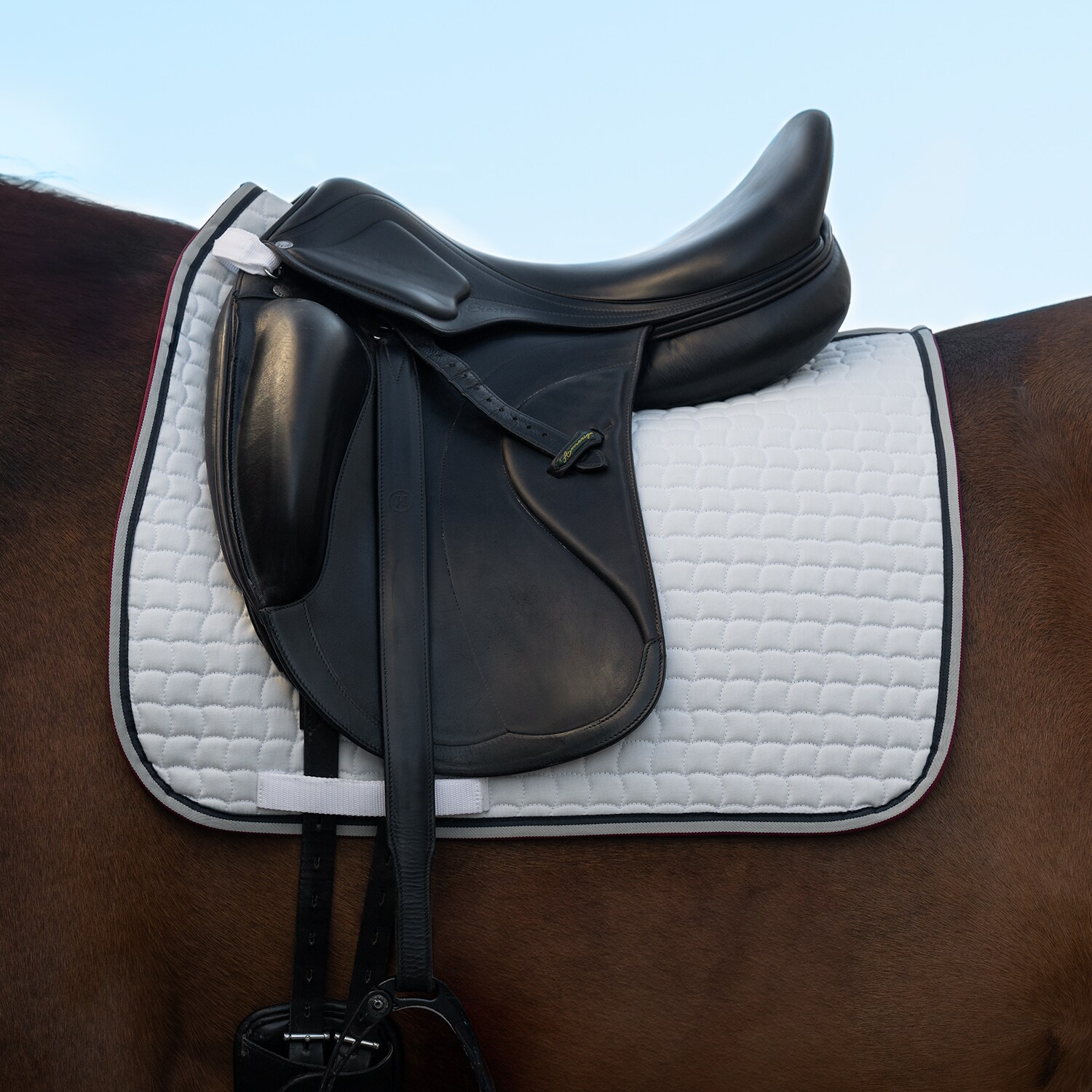 Dressuurzadeldeken  Caspian Fairfield®
