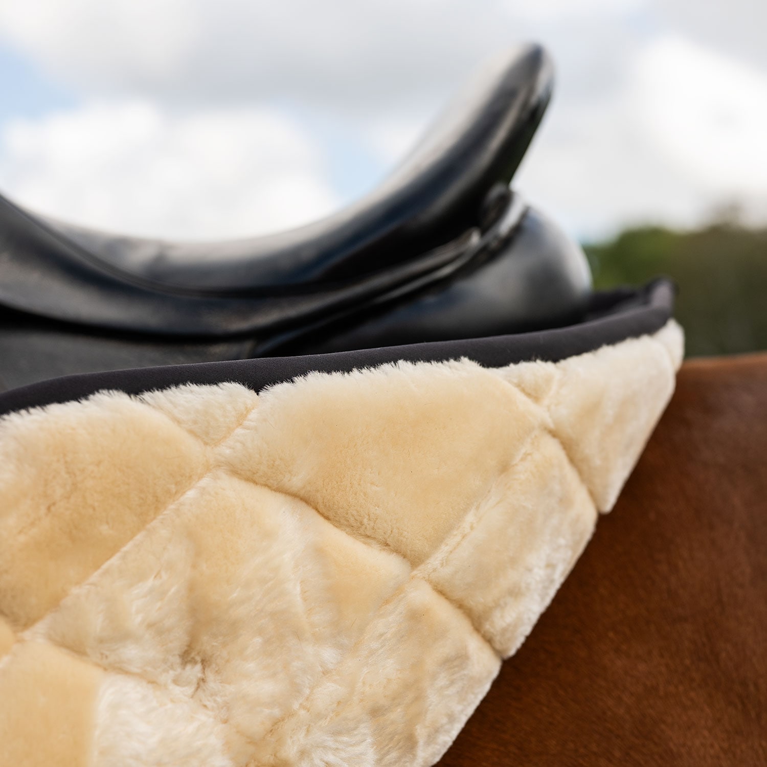 Dressuurzadeldeken  Corridale Fairfield®