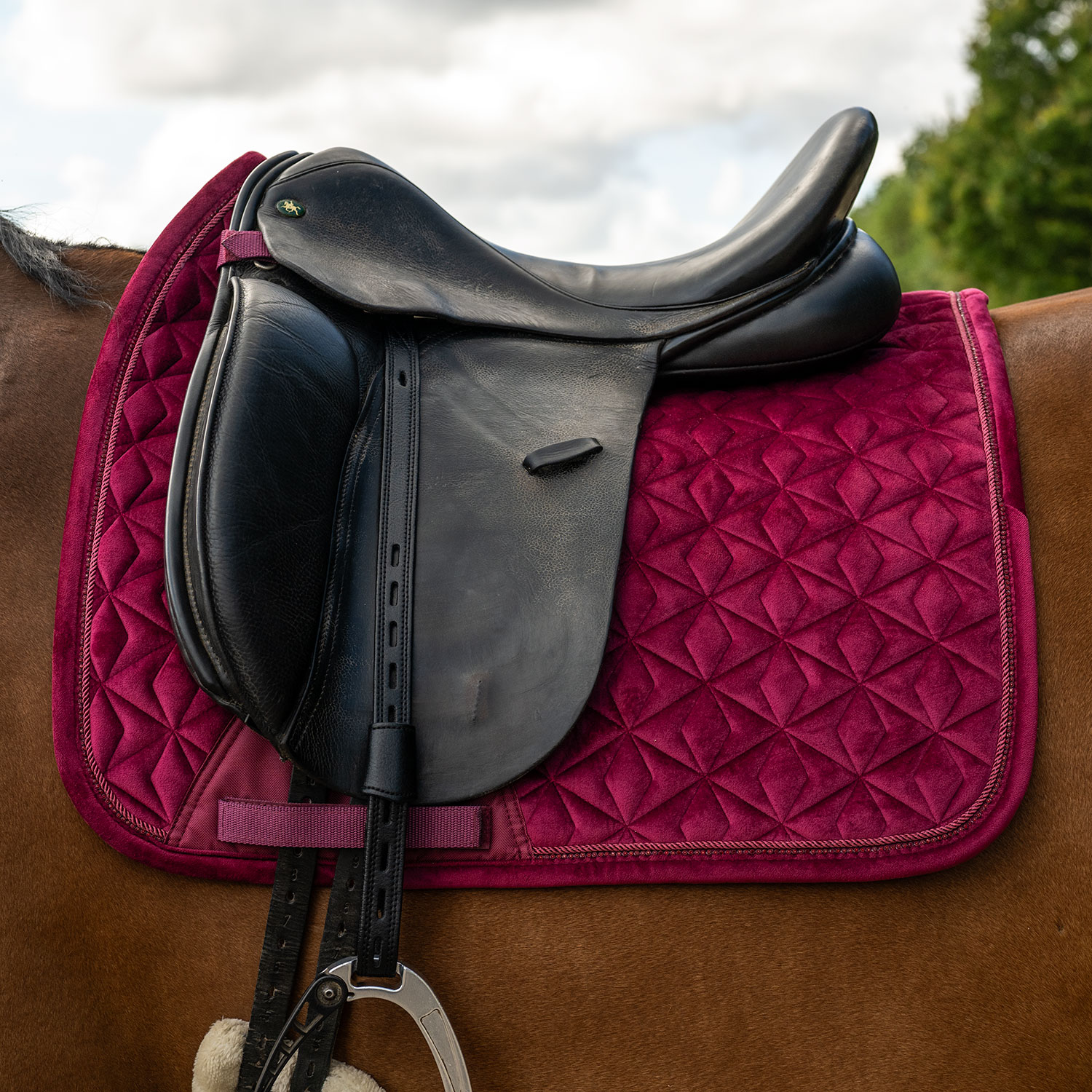 Dressuurzadeldeken Baroque Fairfield®