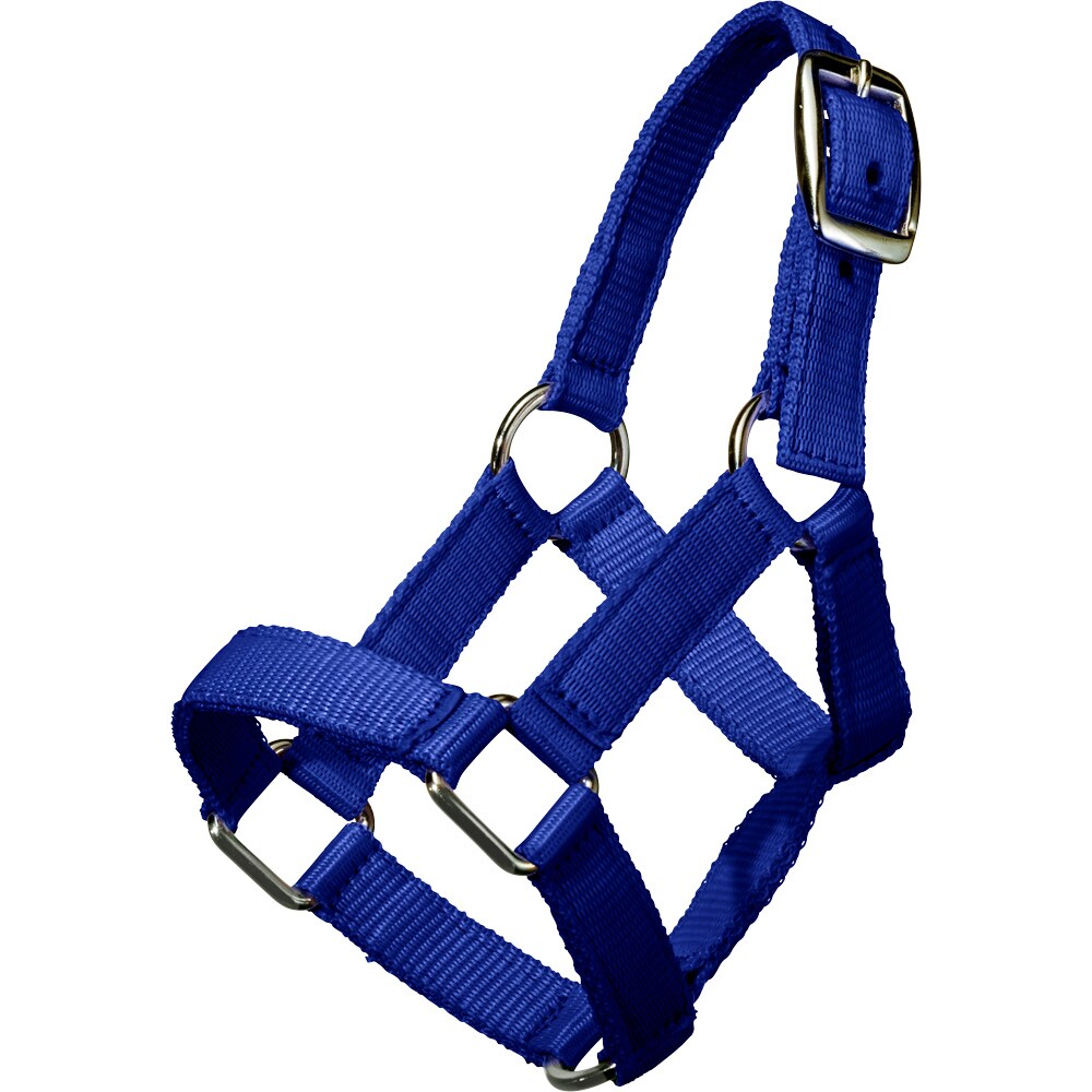 Miniveulenhalster   Fairfield®