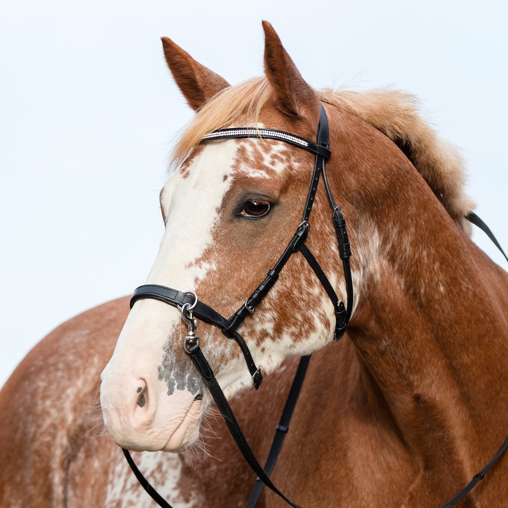 Hoofdstel met neusriem   Fairfield®