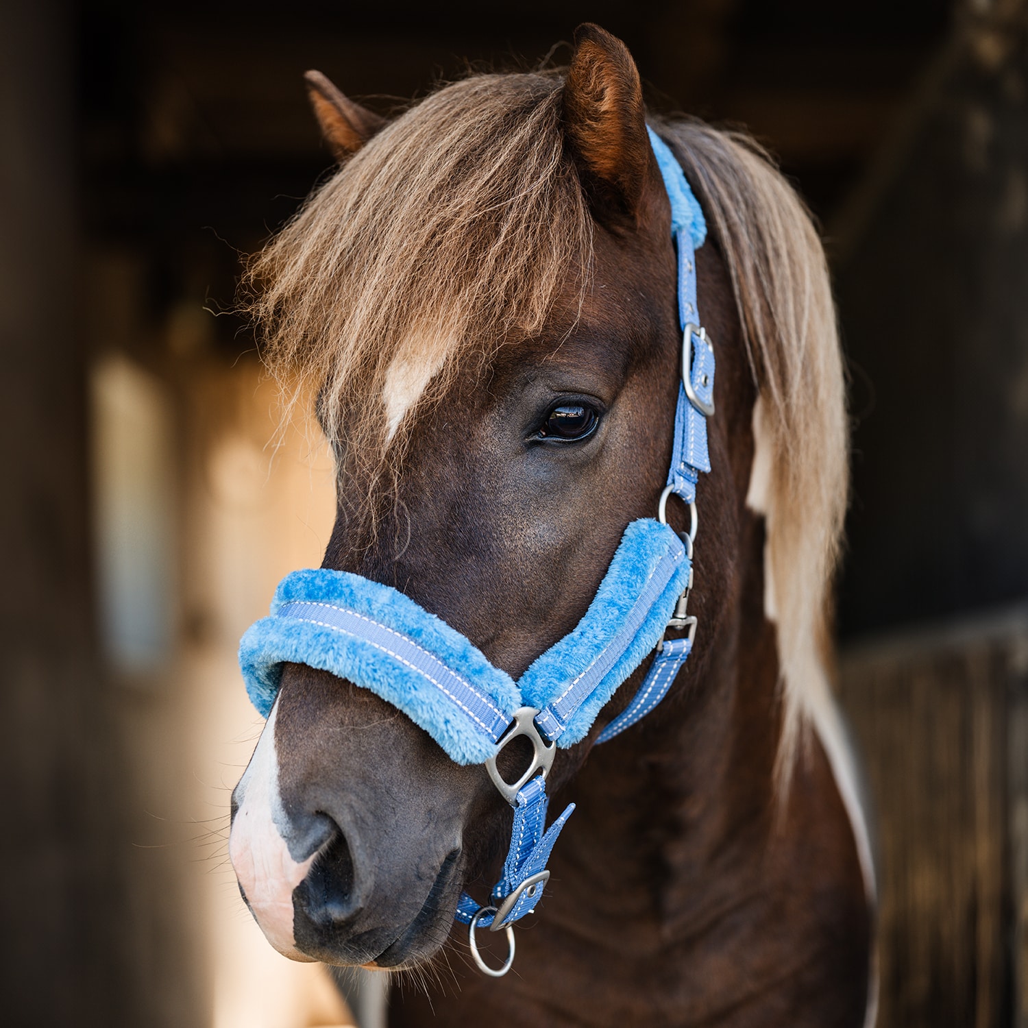 Reflecterend halster  Hi-Viz Fur Fairfield®