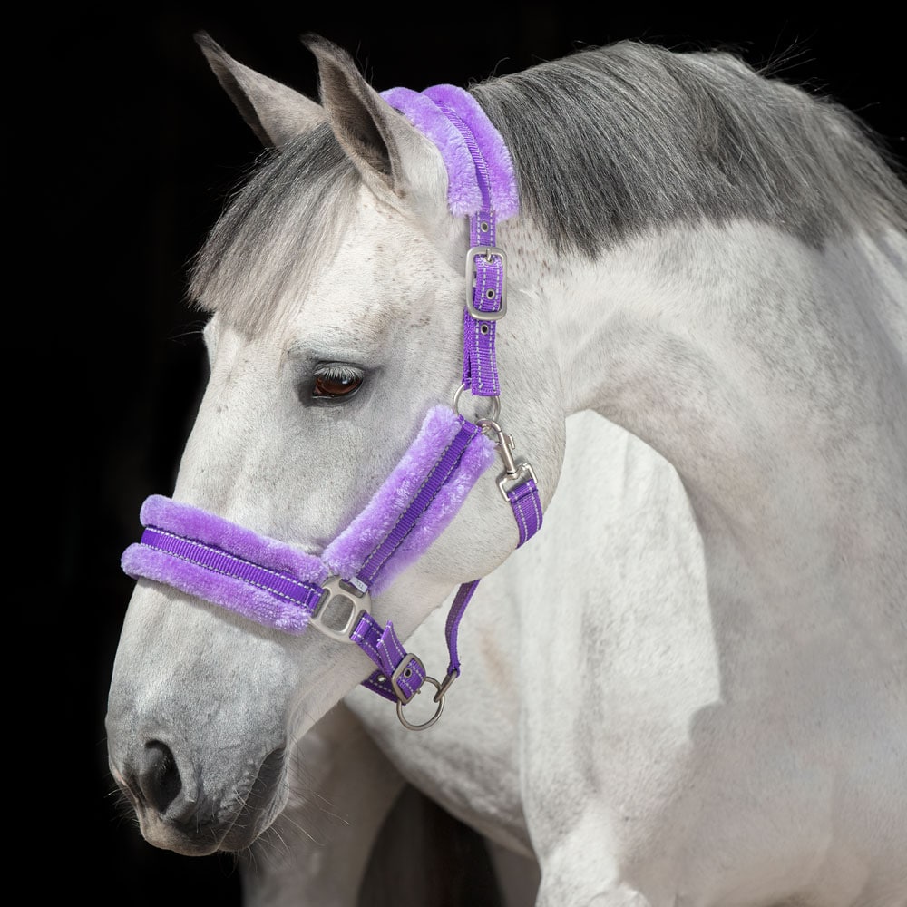 Reflecterend halster  Hi-Viz Fur Fairfield®