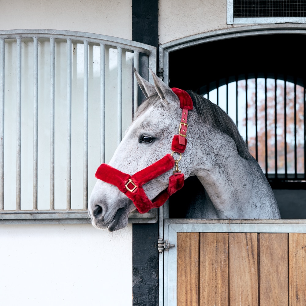 Halster  Furry Fairfield®