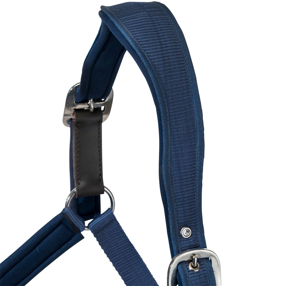 Halster  Fantus Fairfield®
