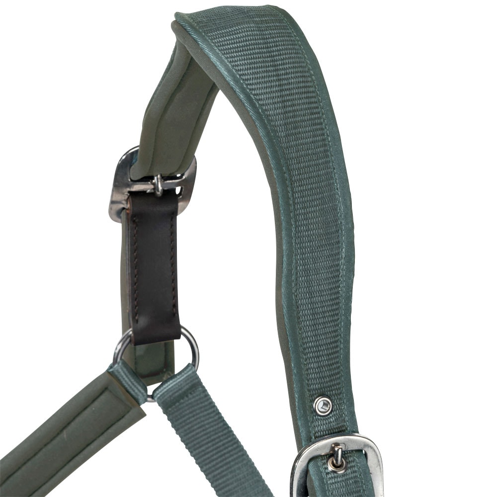Halster  Fantus Fairfield®