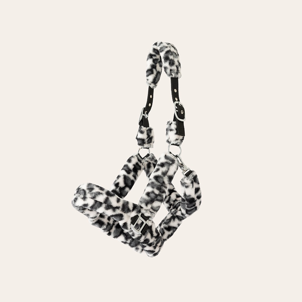 Halster Corrado Fairfield®