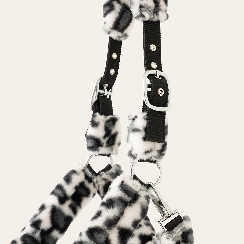 Halster Corrado Fairfield®