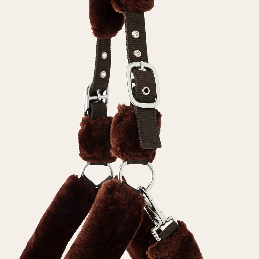 Halster  Corrado Fairfield®