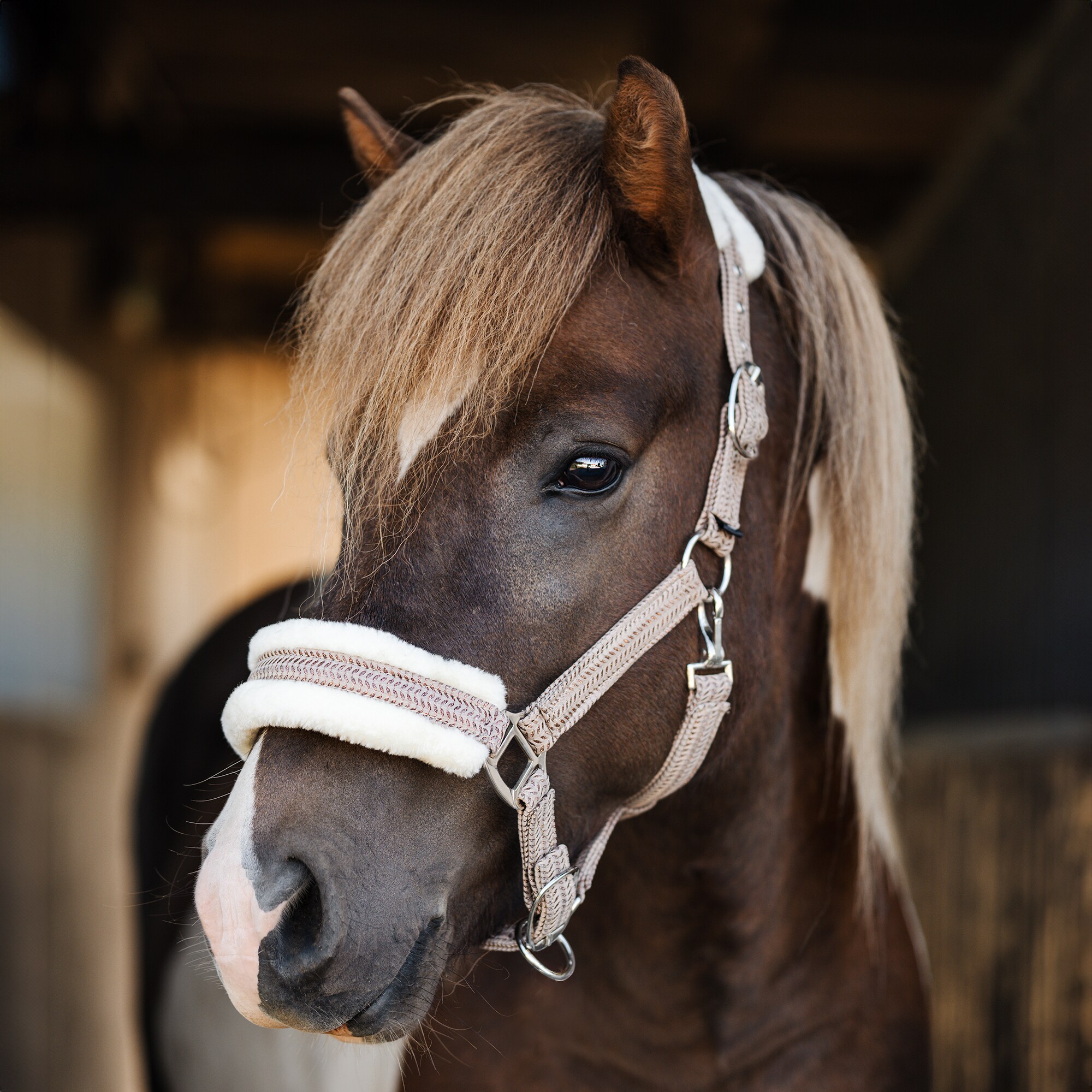 Halster  Furidant Fairfield®