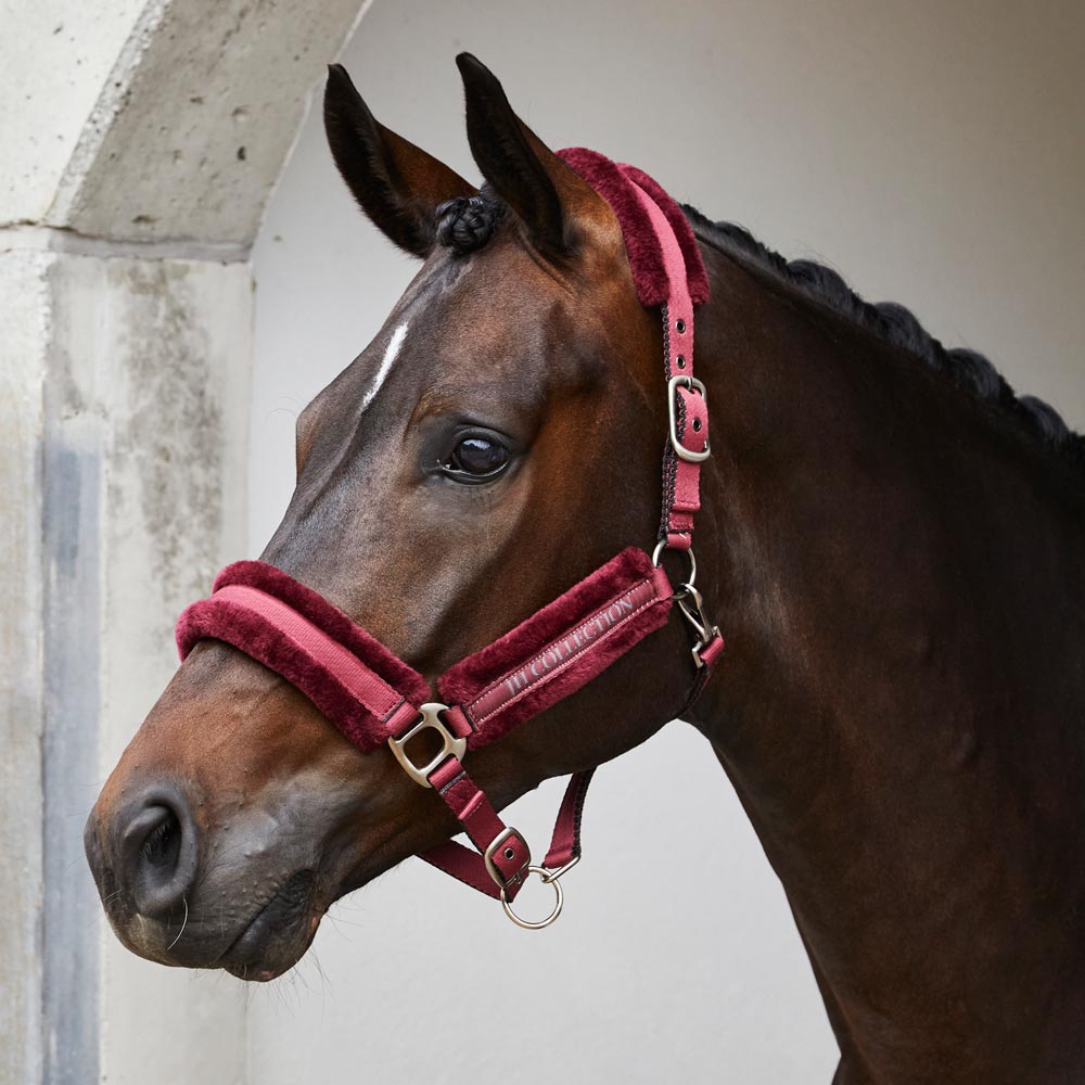 Halster Novara JH Collection®