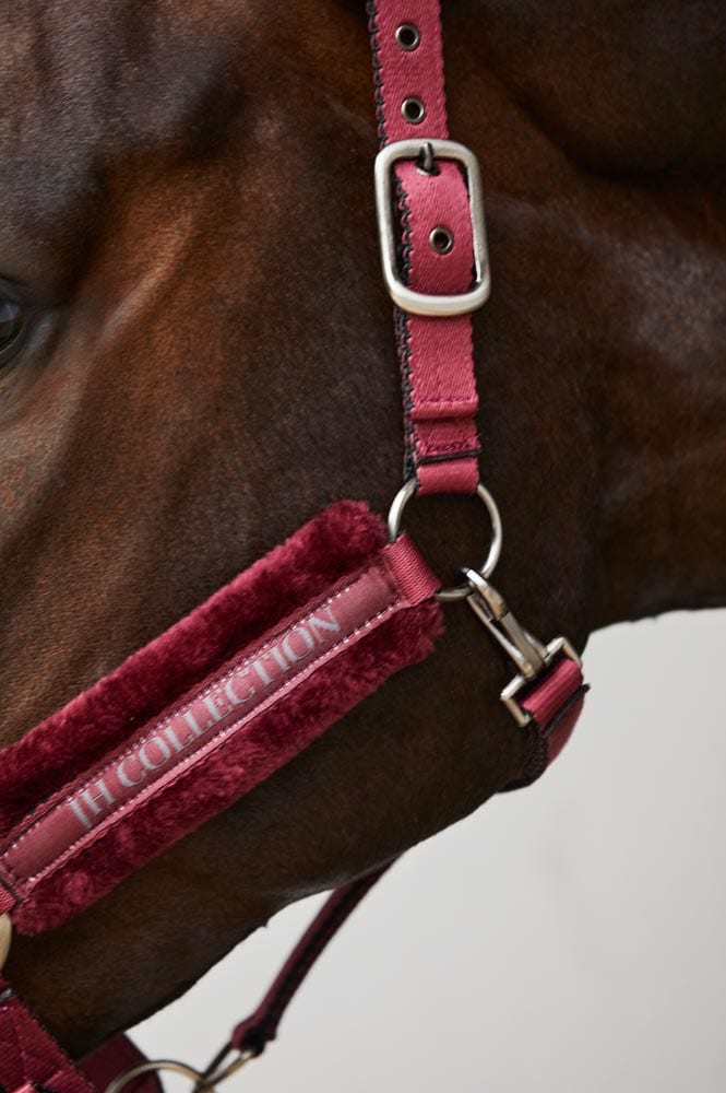 Halster Novara JH Collection®