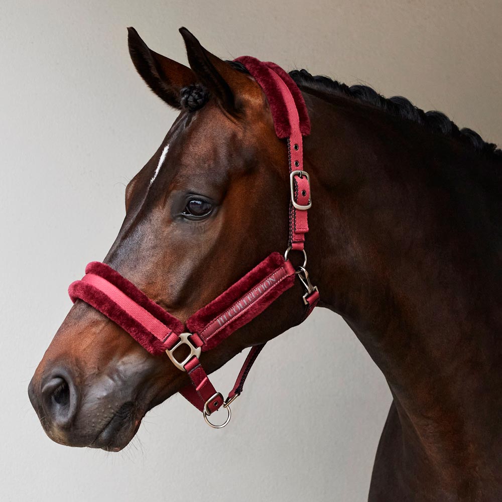 Halster Novara JH Collection®