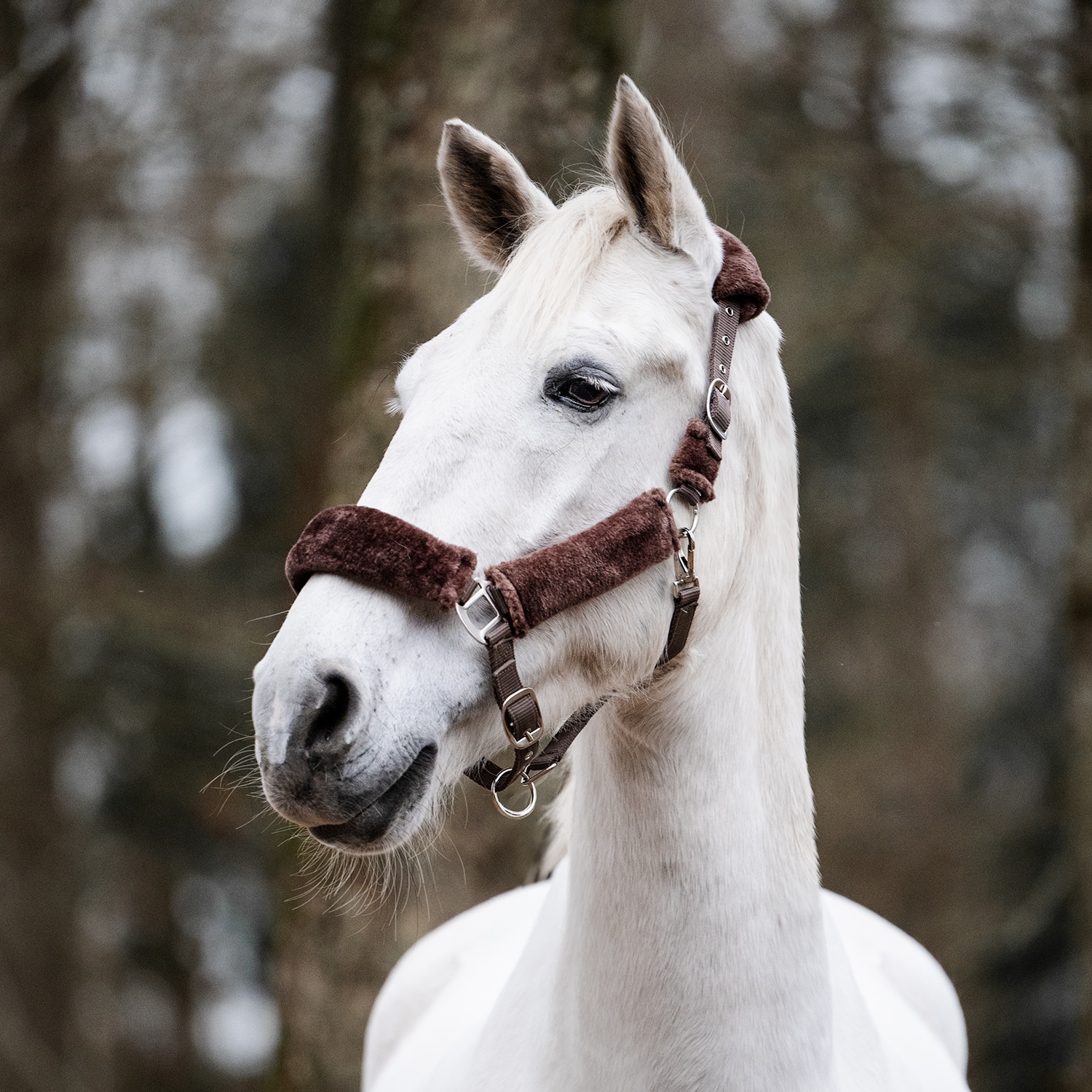 Halster Tribun Fairfield®