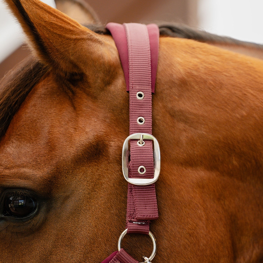 Halster  Nala Fairfield®