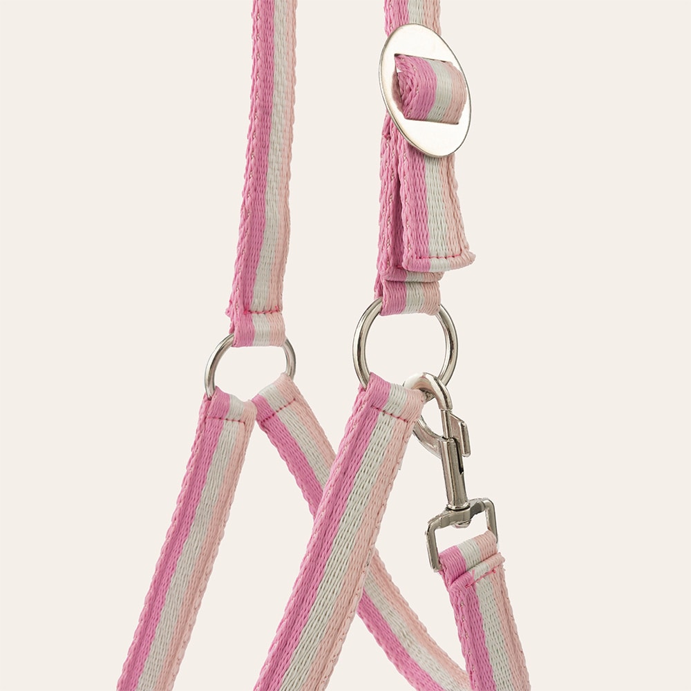 Halster  Contender Fairfield®