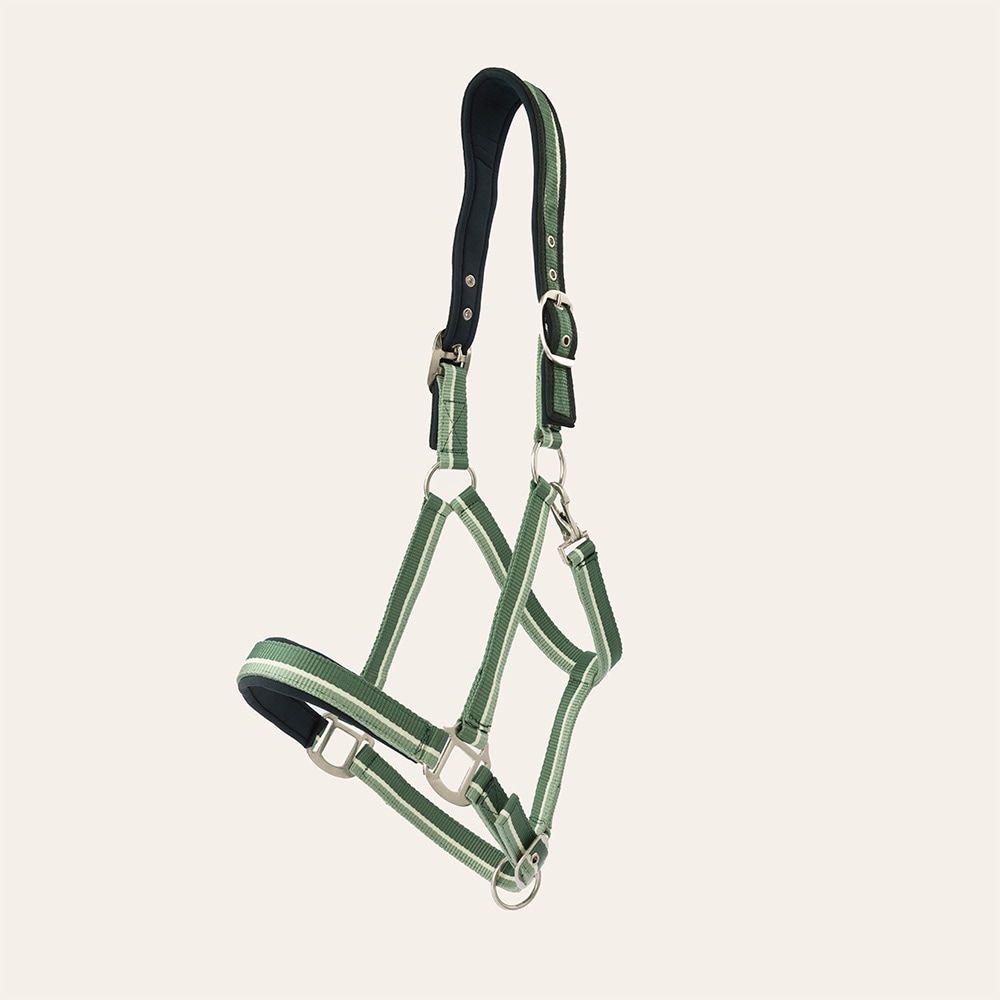 Halster  Nimmerdor Fairfield®