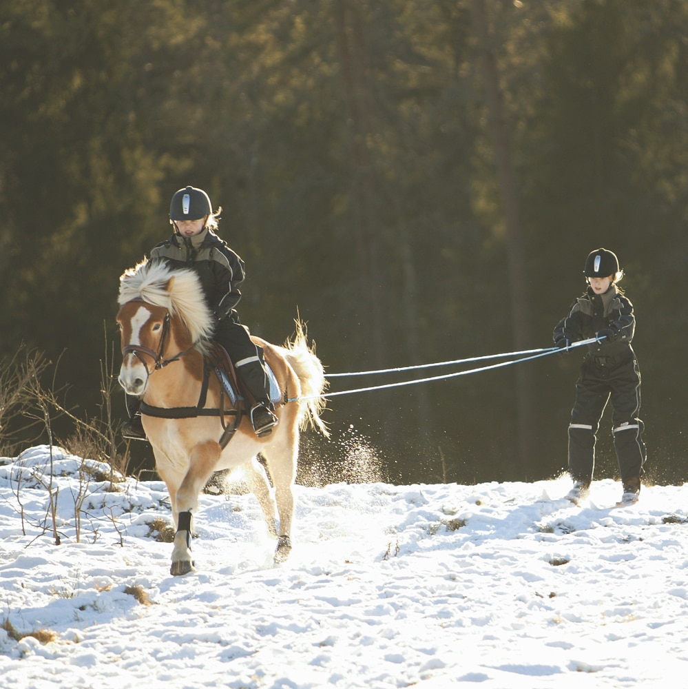 Skituigje Pony  CRW®