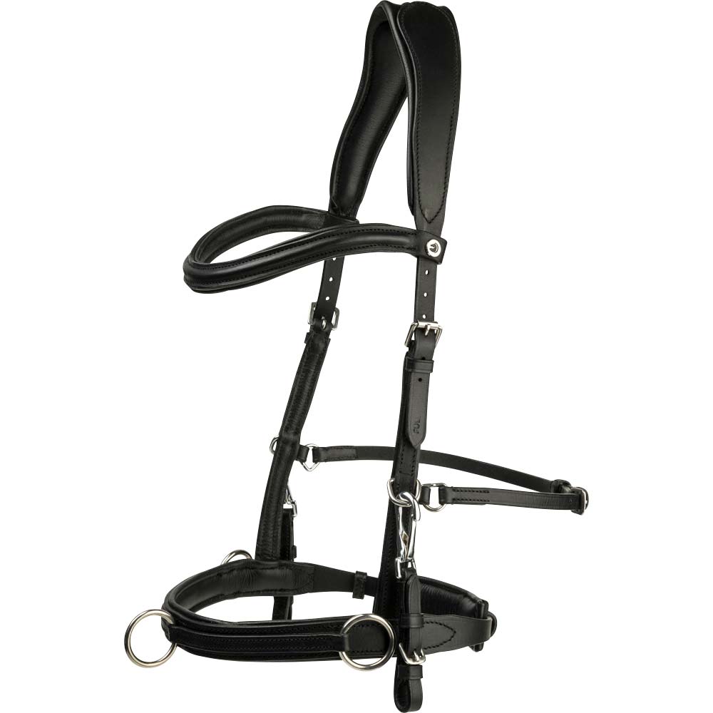 Hoofdstel met neusriem  Cavat Fairfield®