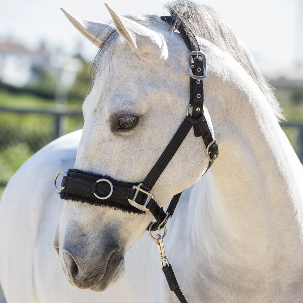 Hoofdstel met neusriem   Fairfield®