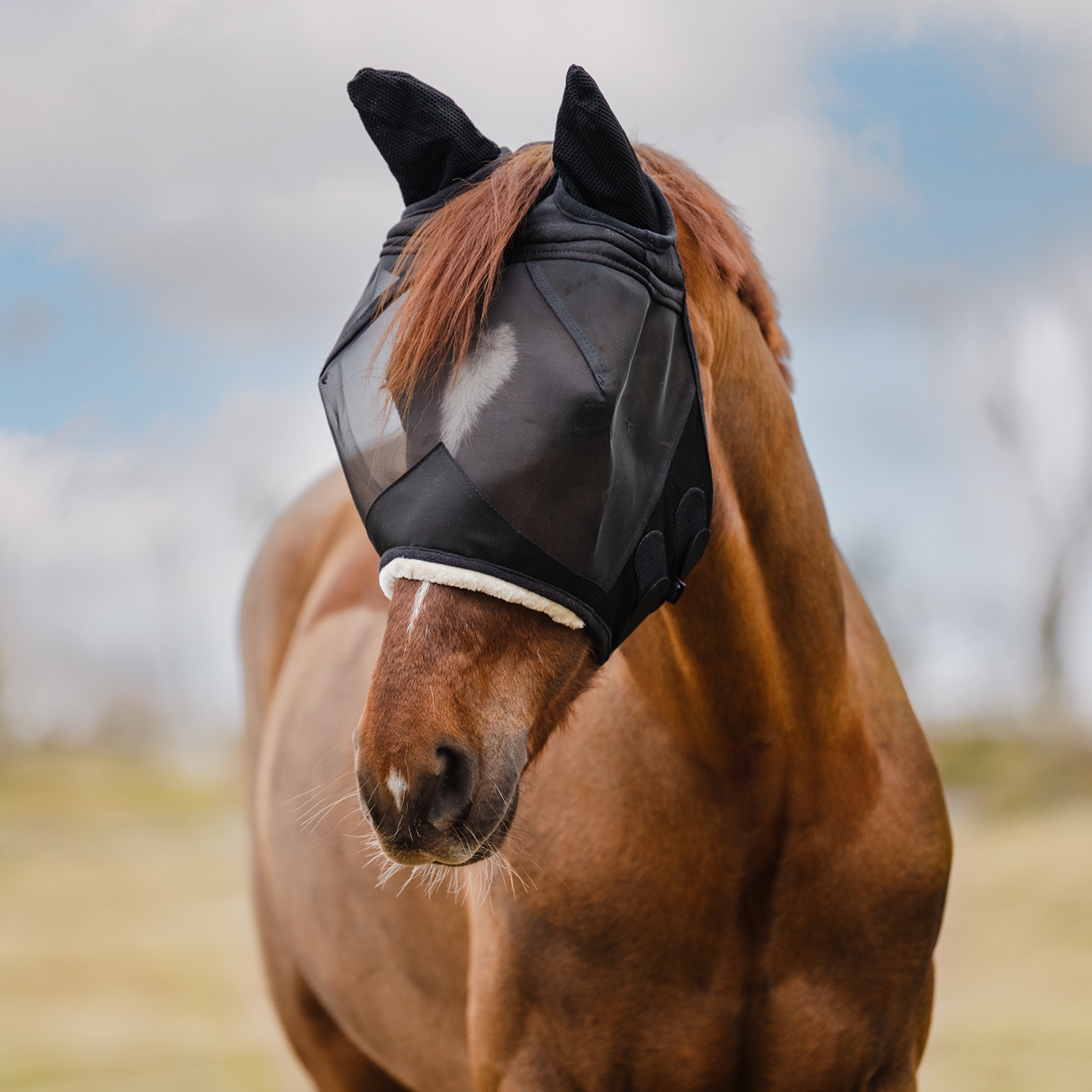 Vliegenkap  Tennesse EquiXpert®
