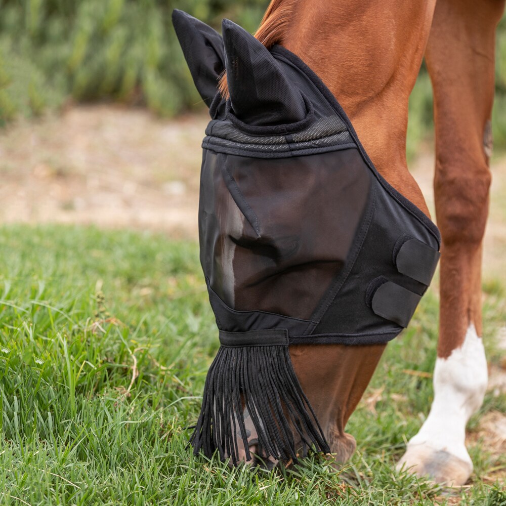 Vliegenkap  Everglade Buzz EquiXpert®