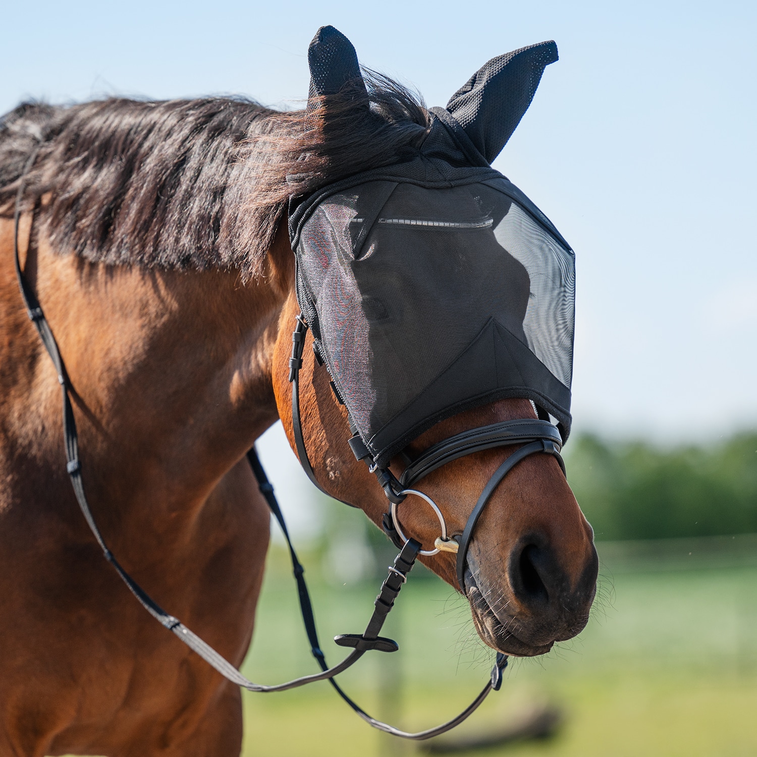 Vliegenkap  Everglade Rider EquiXpert®