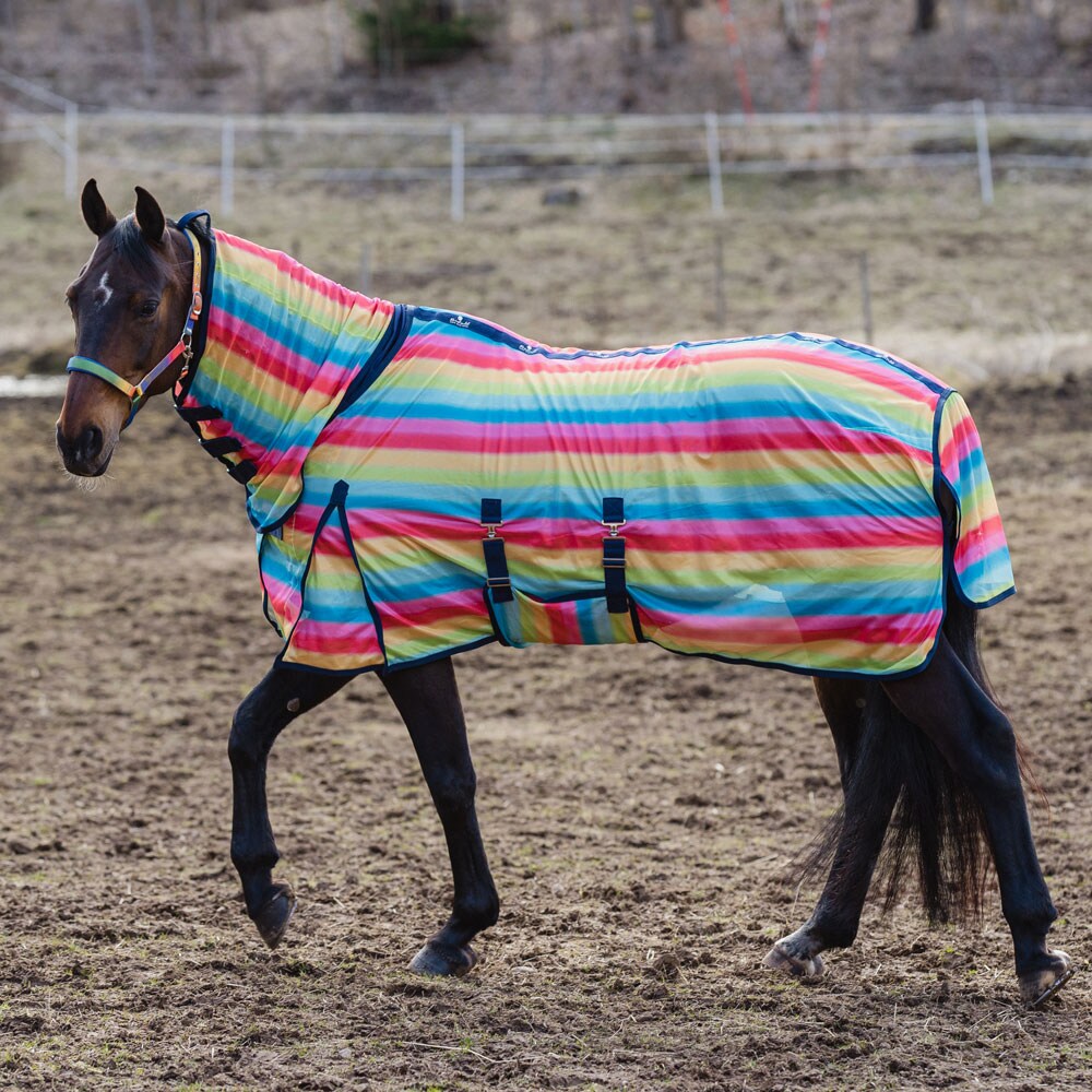 Vliegendeken  Rainbow Fairfield®