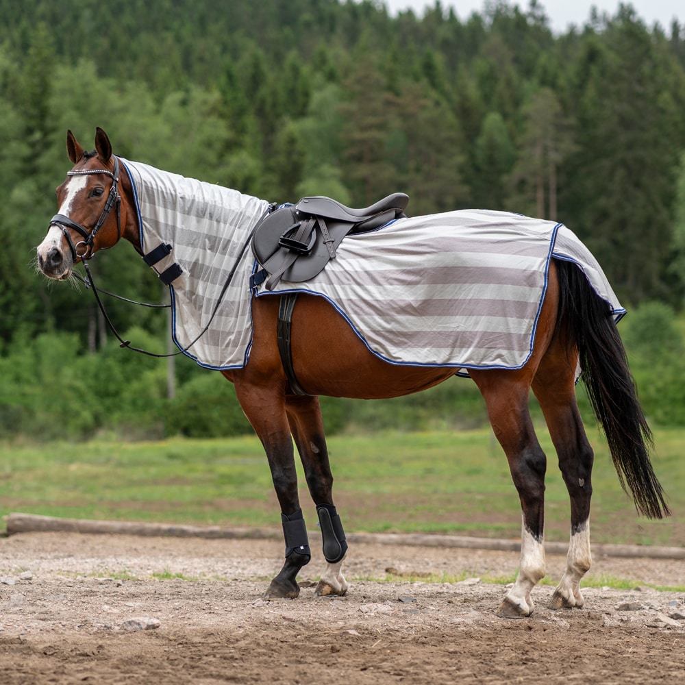 Vliegendeken  Wellington Flyrider Fairfield®