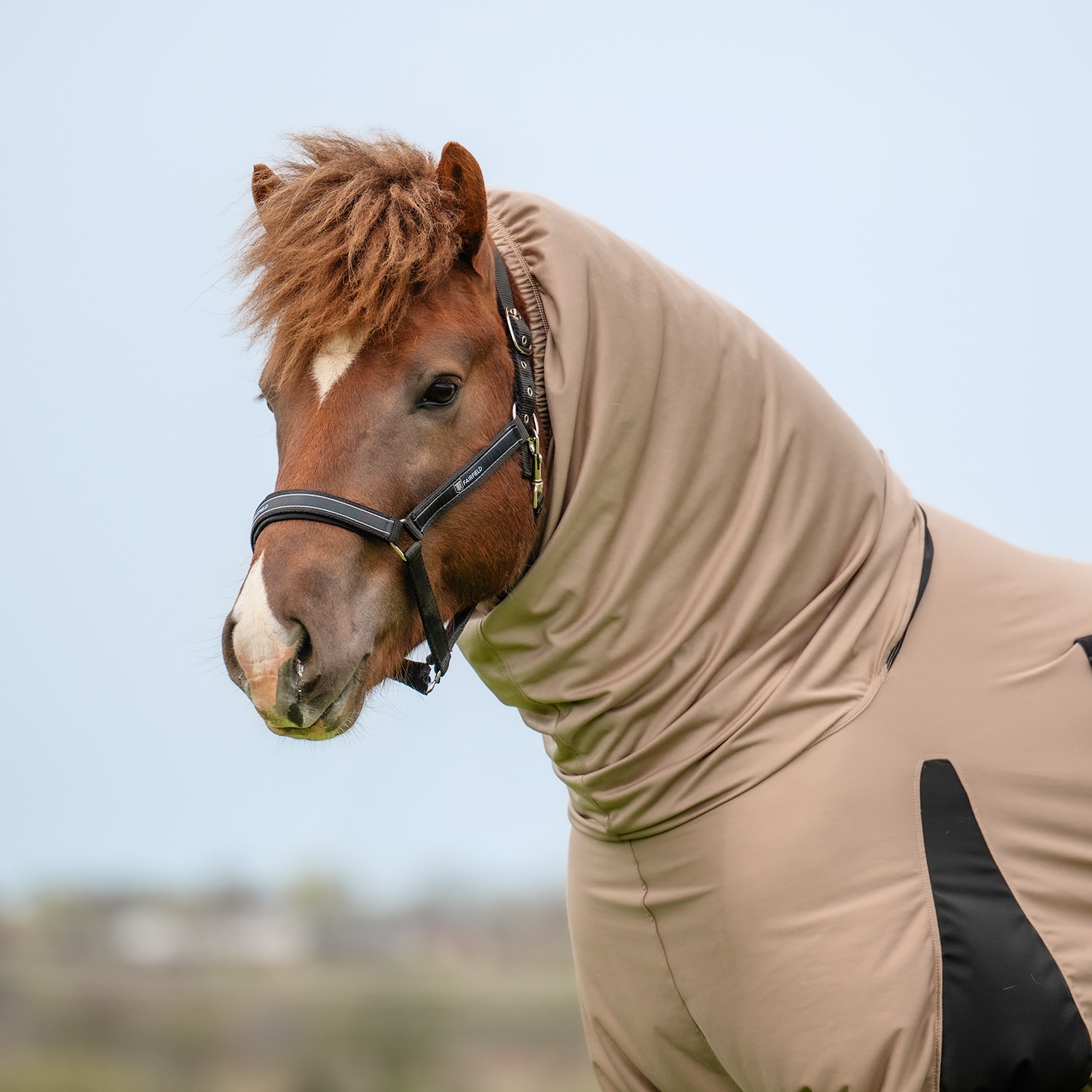 Eczeemdeken  Sweetitch rug CRW®