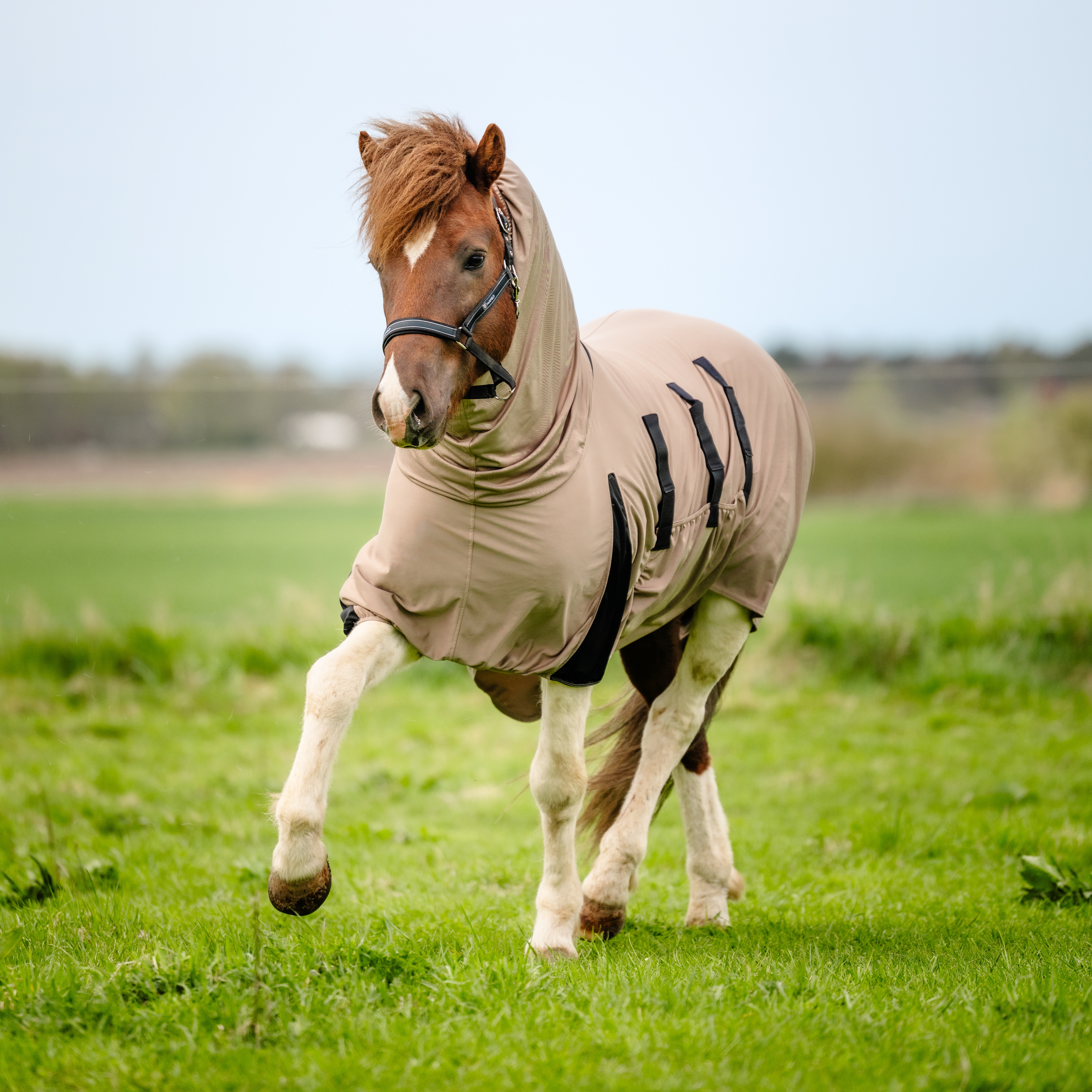 Eczeemdeken  Sweetitch rug CRW®
