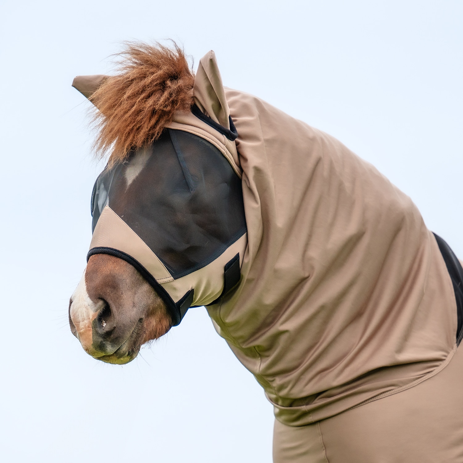 Eczeemkap  Sweetitch hood CRW®