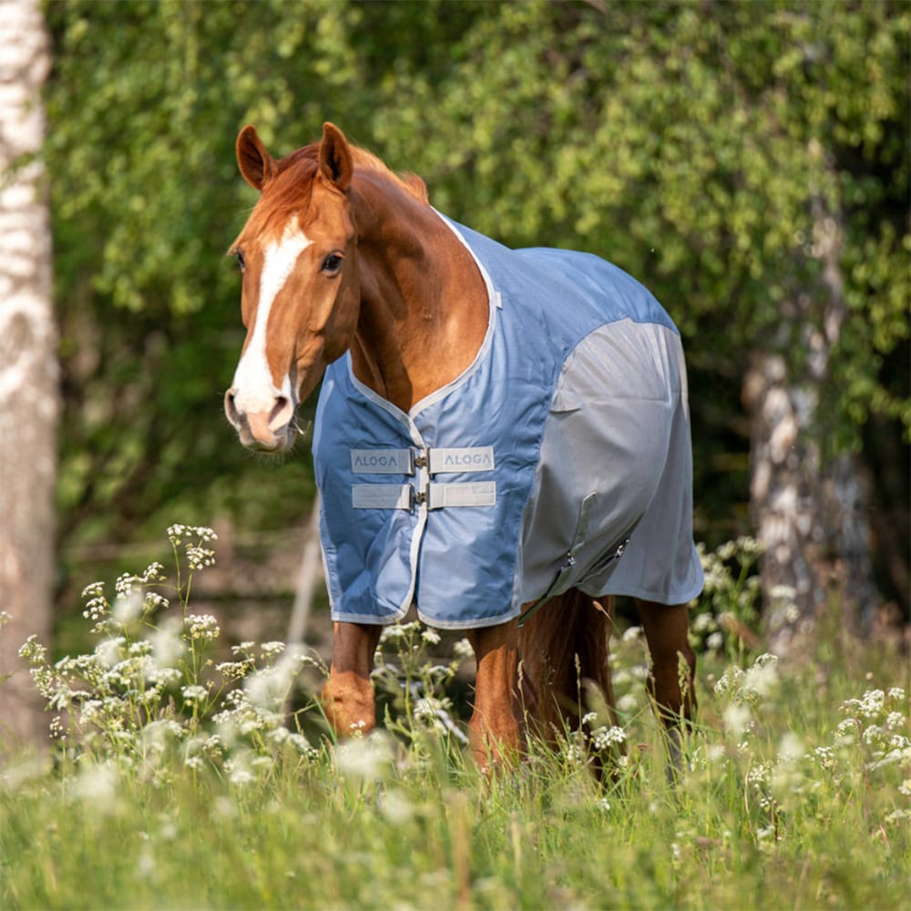 Regen-/vliegendeken  Fly Dry Aloga Equestrian