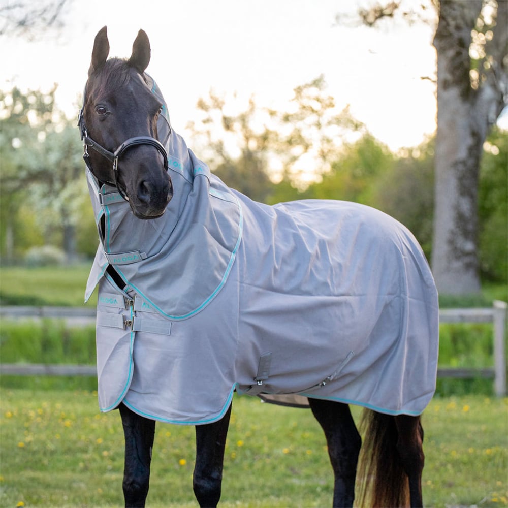 Vliegendeken  Fly Aloga Equestrian