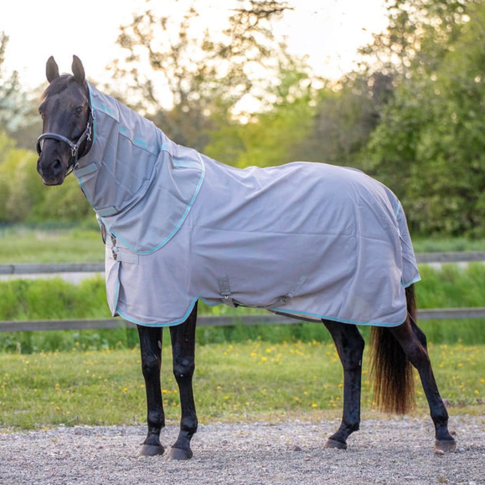 Vliegendeken  Fly Aloga Equestrian