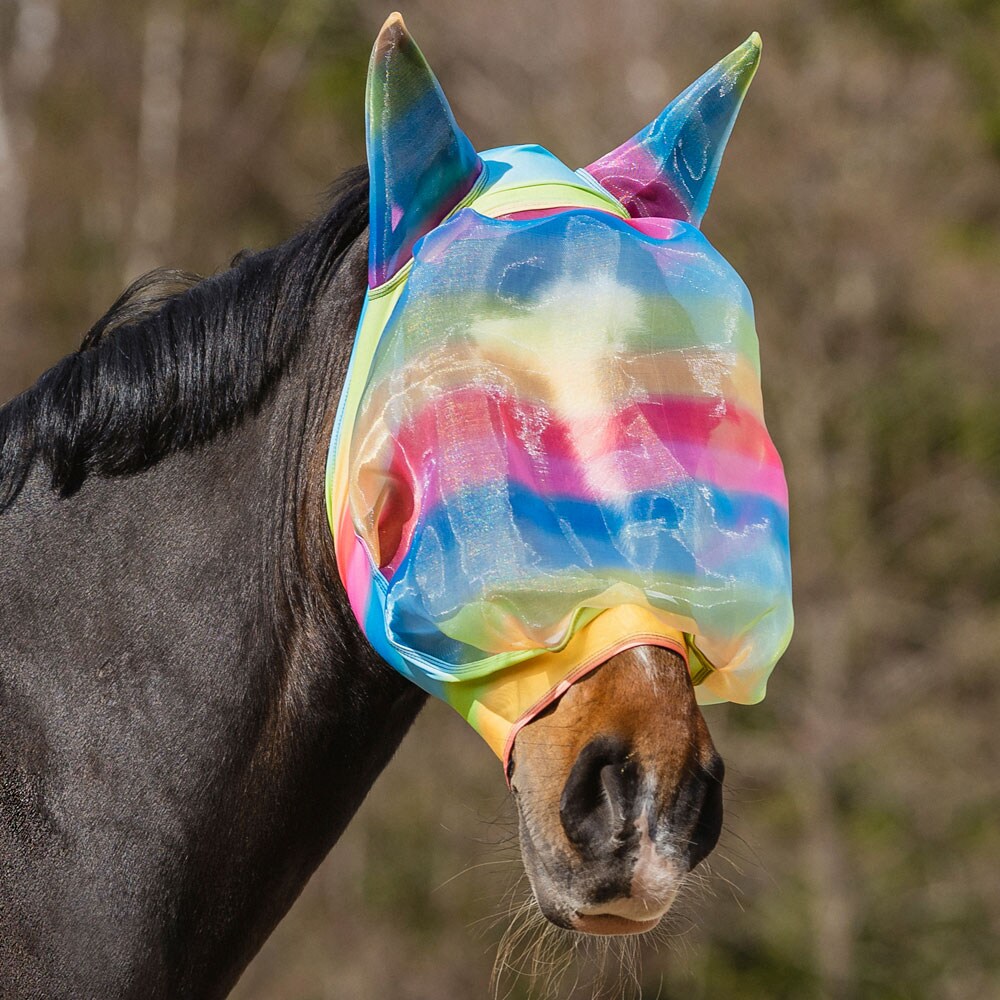 Vliegenkap  Rainbow Fairfield®