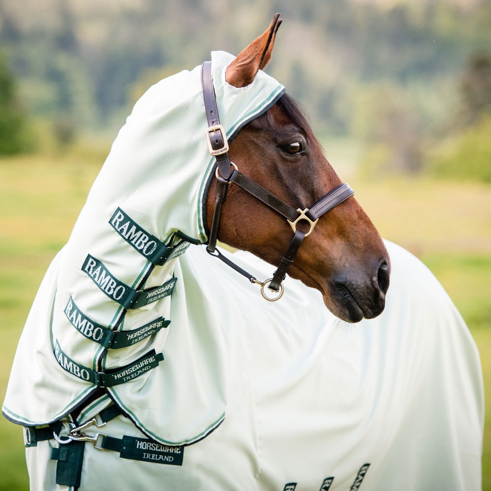 Eczeemdeken  Rambo Hoody Horseware®