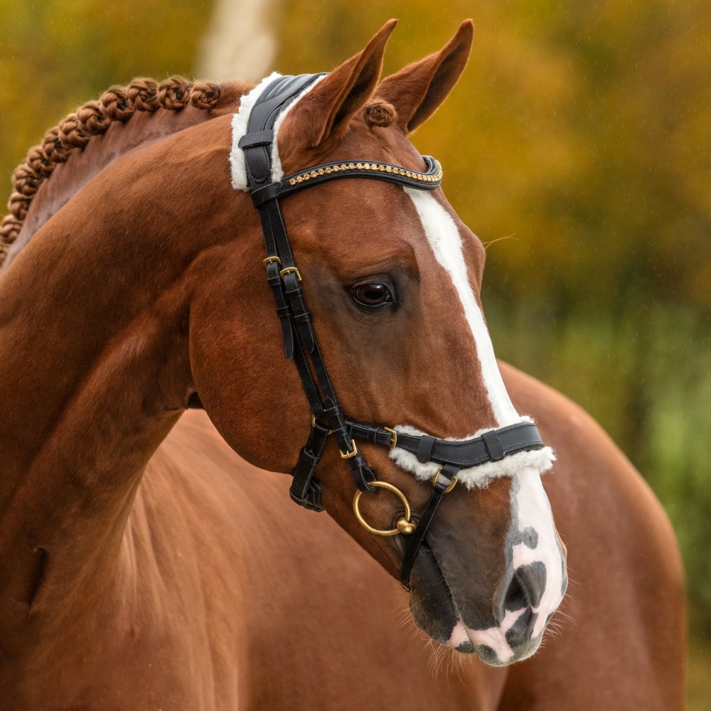 Riem naar trenzen Chester Fairfield®