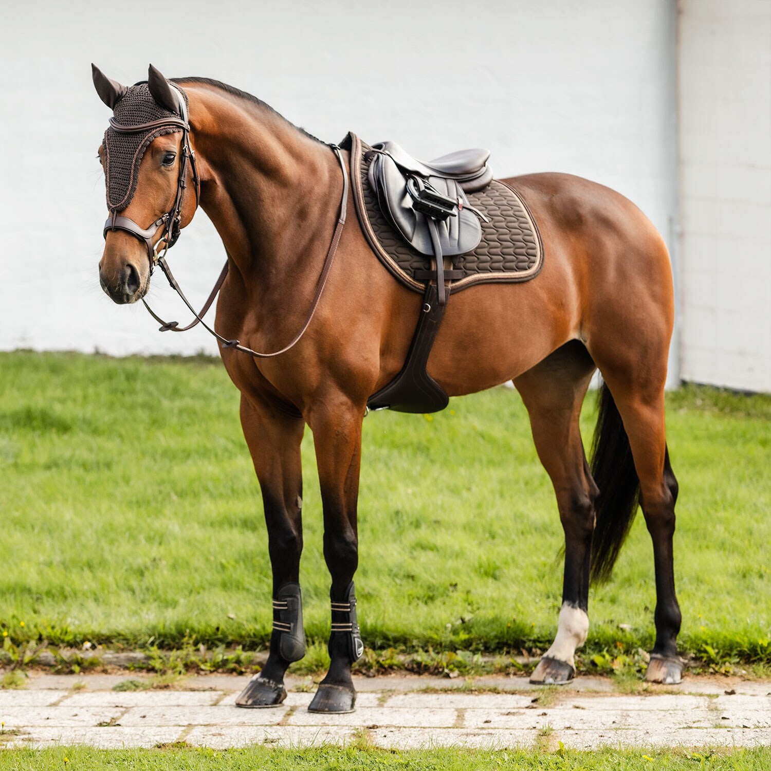 Kap  Modesto Fairfield®