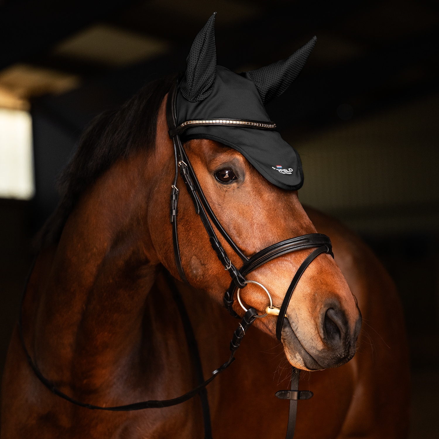 Kap  Hickstead Fairfield®