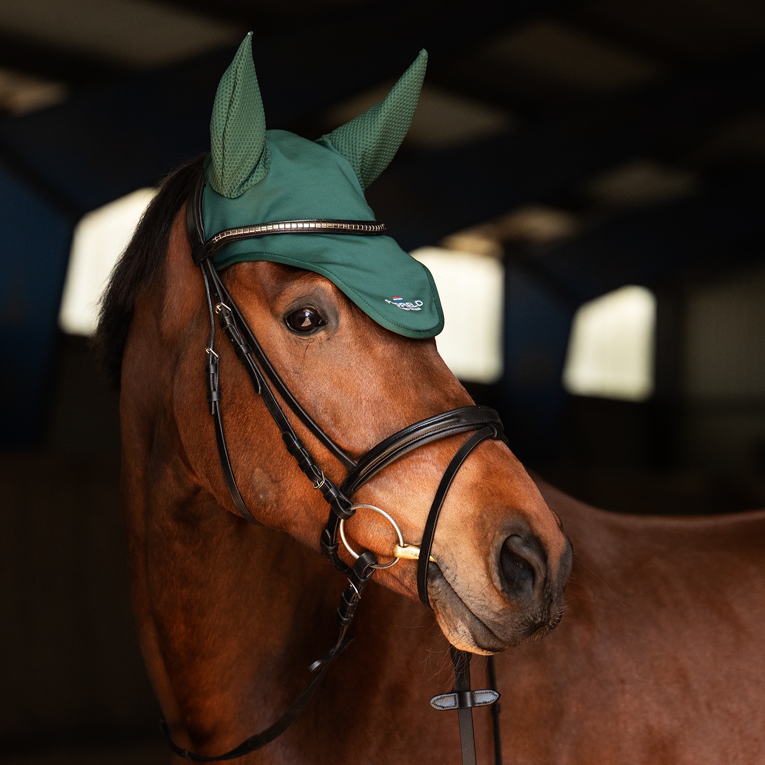 Kap  Hickstead Fairfield®