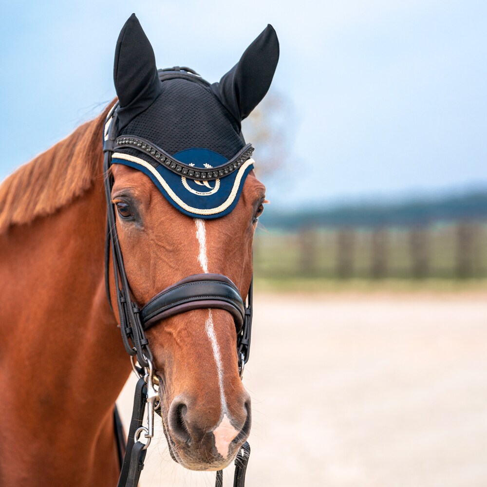 Kap Night Collection Back on Track®