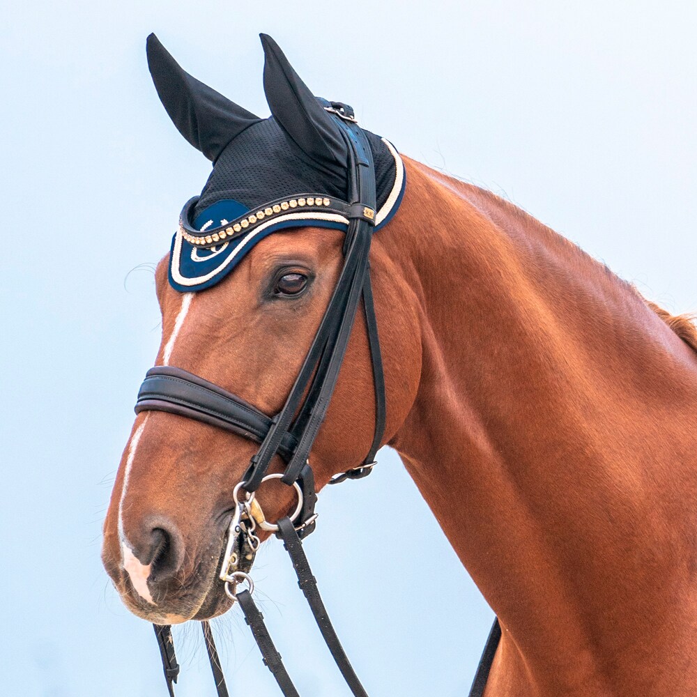 Kap Night Collection Back on Track®