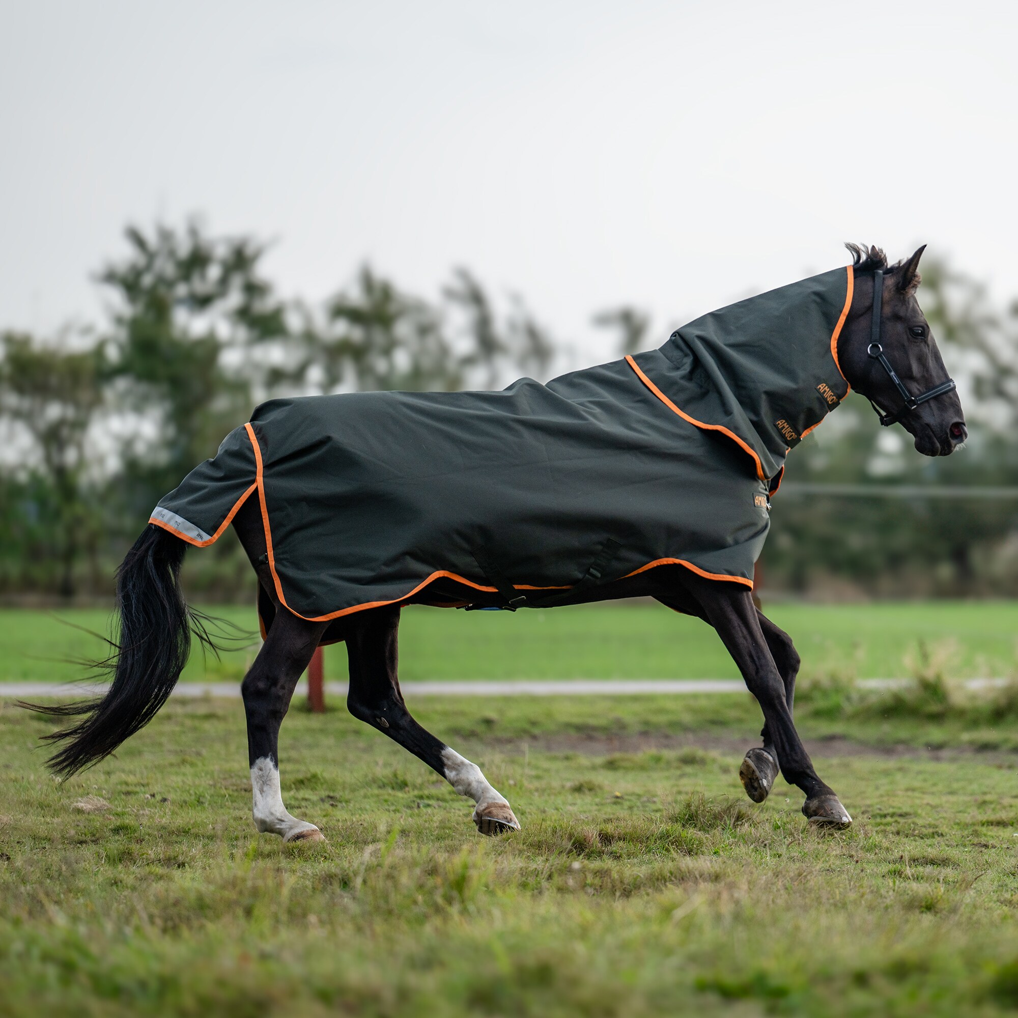 Regendeken  Amigo Bravo 12 Plus 30 Horseware®