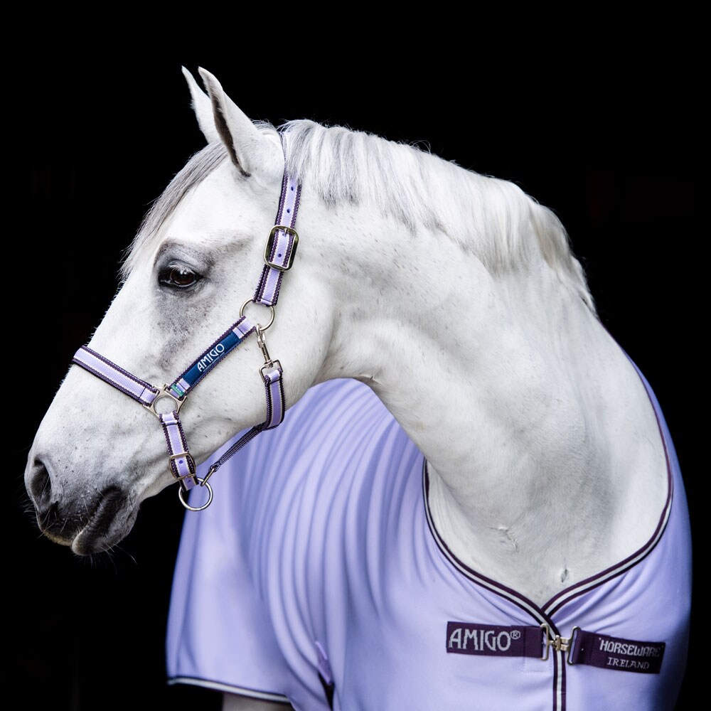 Staldeken  Amigo Jersey Cooler Horseware®