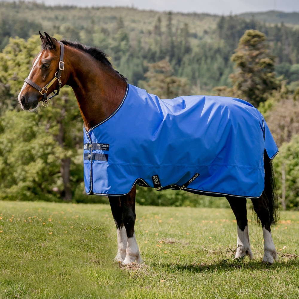 Teken een foto kleermaker verteren Regendeken Amigo Hero Ripstop Lite Horseware® - Hööks