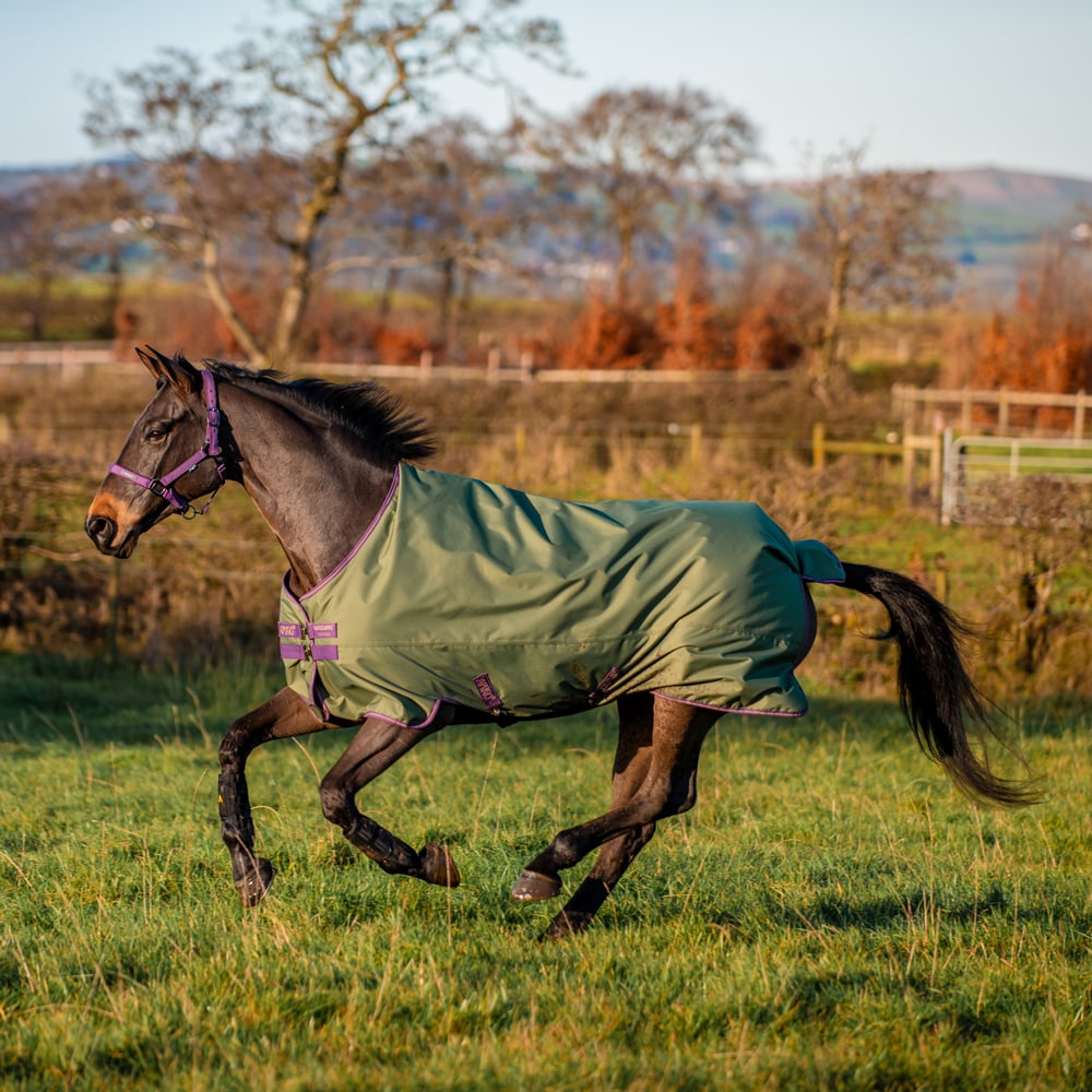 Regendeken  Amigo Hero Ripstop Lite Horseware®