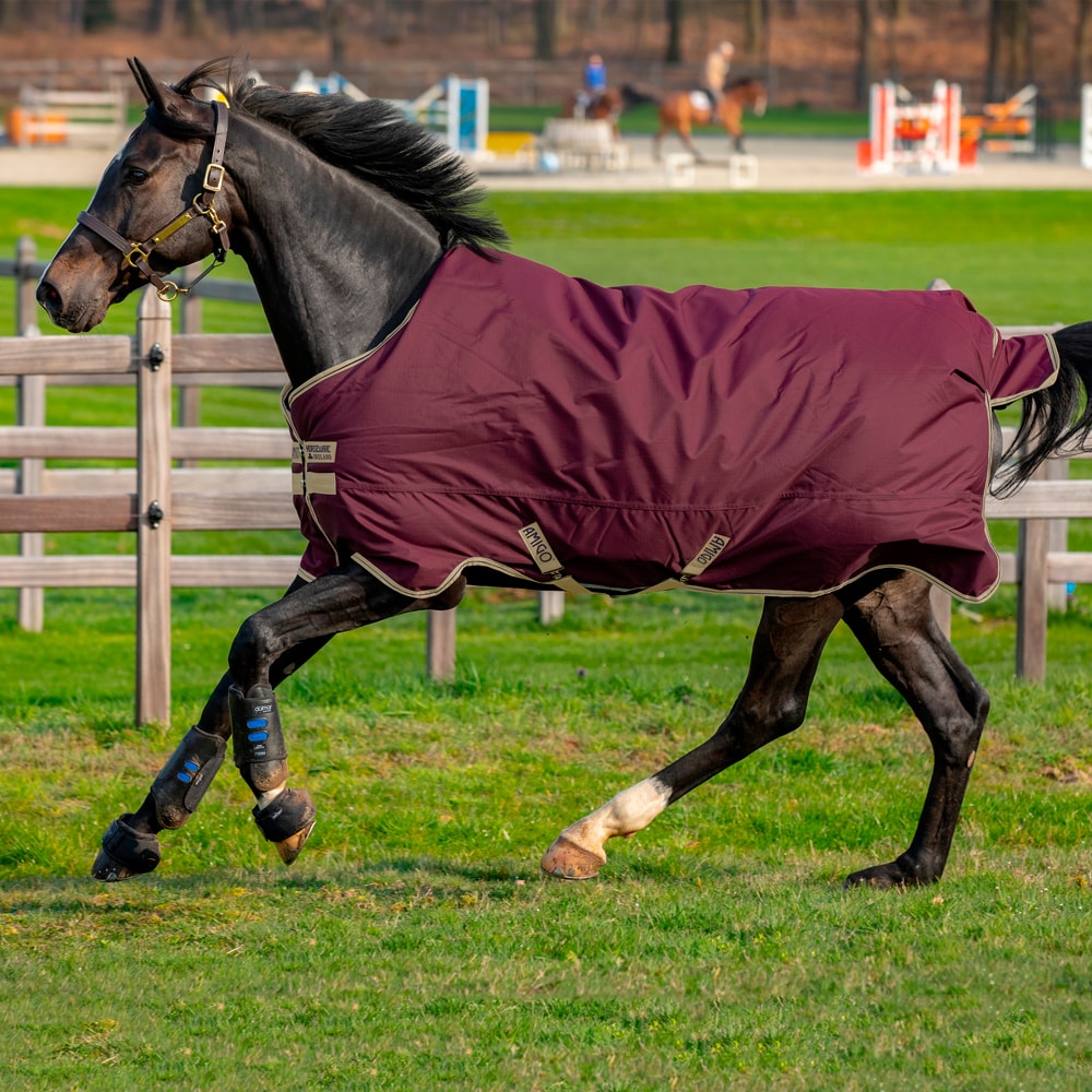 Regendeken  Amigo Hero Ripstop Lite Horseware®