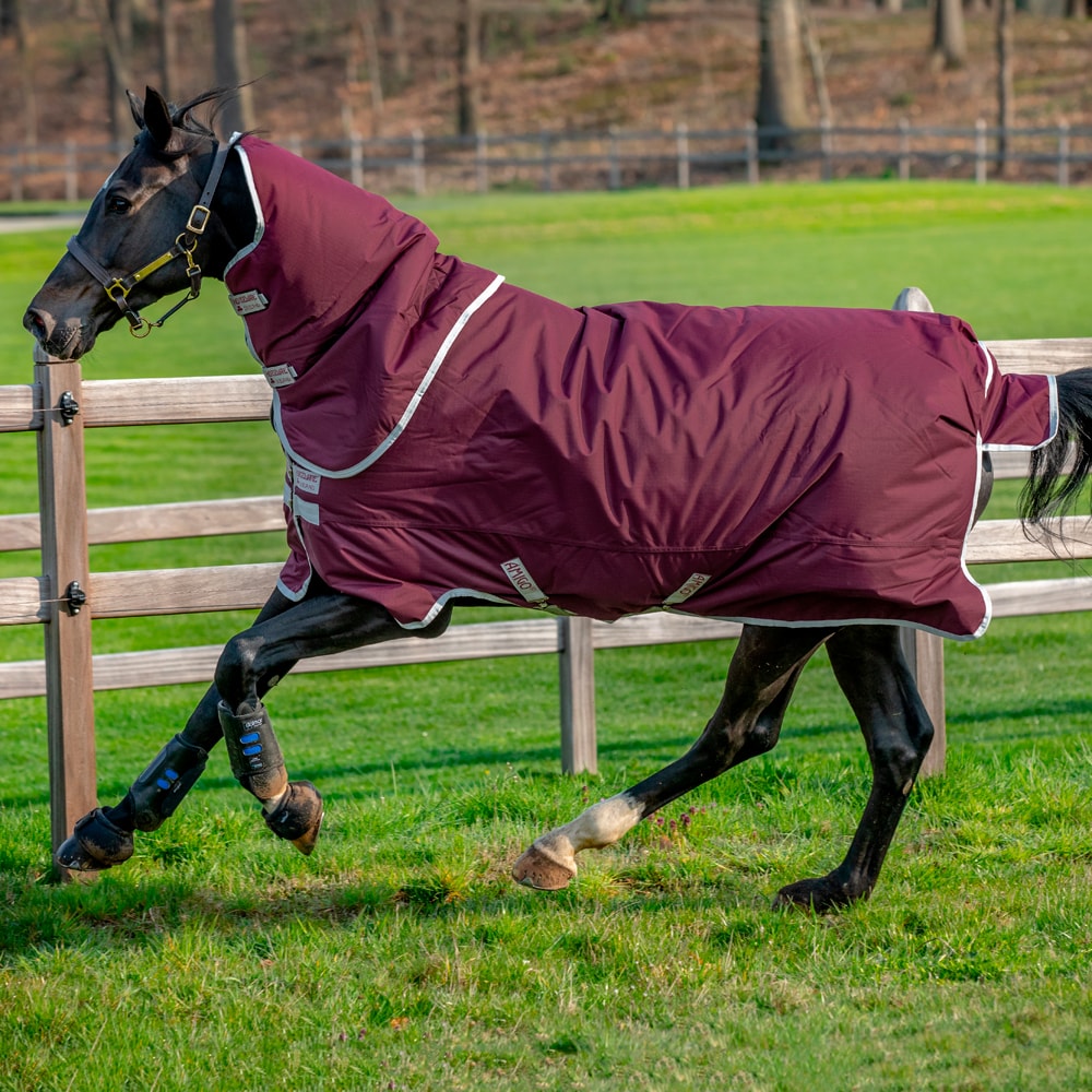 Uitrijdeken  Amigo Hero Ripstop Plus 200 Horseware®