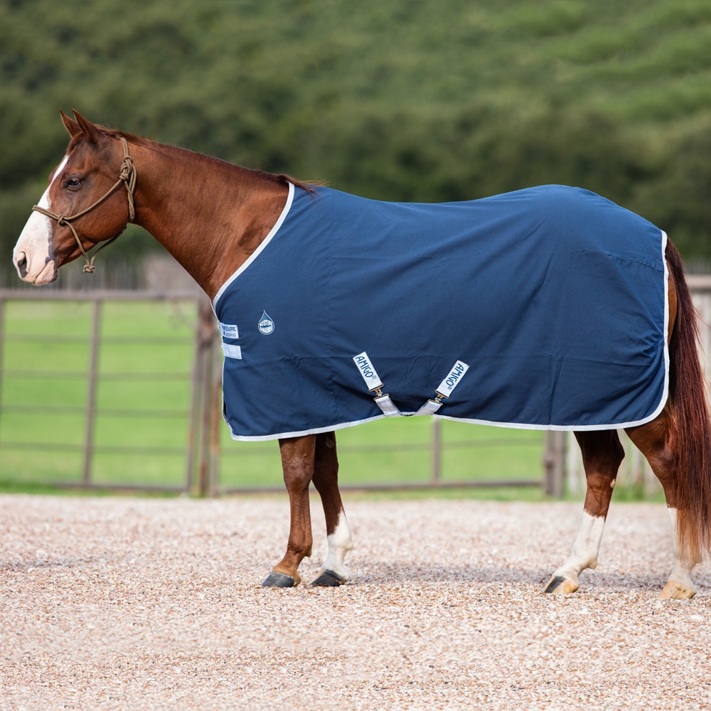 Staldeken  Amigo Stable Sheet Horseware®